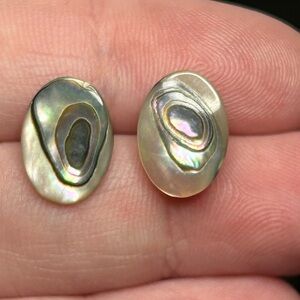 Artisan Iridescent Abalone Shell Stud Earrings